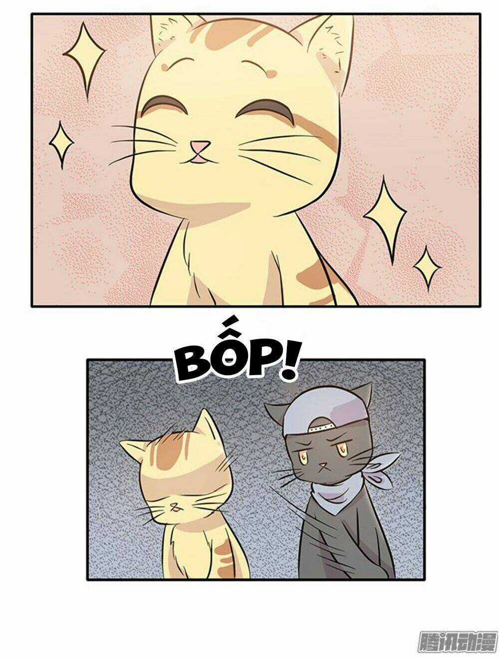 Hai Chú Mèo ToTem Chapter 15 trang 16