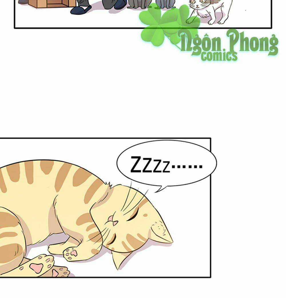 Hai Chú Mèo ToTem Chapter 15 trang 2