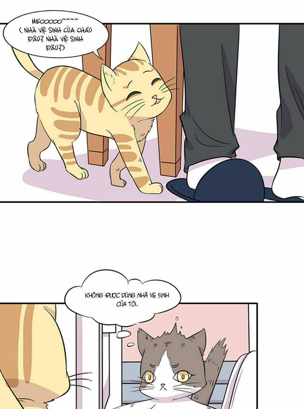 Hai Chú Mèo ToTem Chapter 15 trang 8