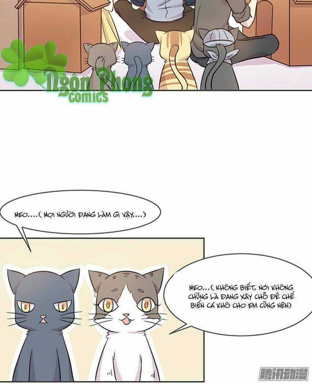 Hai Chú Mèo ToTem Chapter 16 trang 15