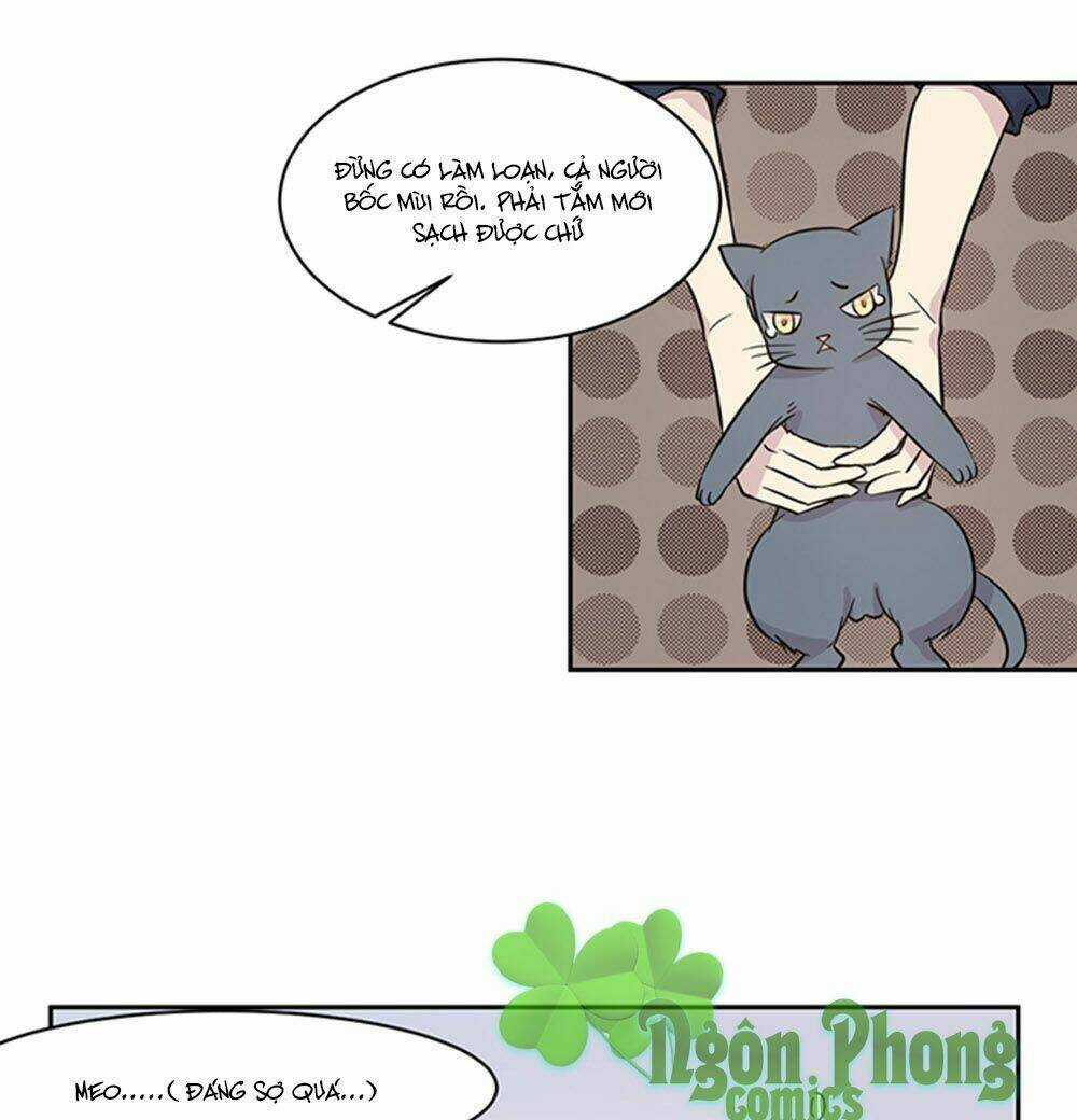 Hai Chú Mèo ToTem Chapter 17 trang 11