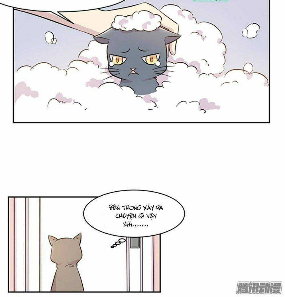 Hai Chú Mèo ToTem Chapter 17 trang 12