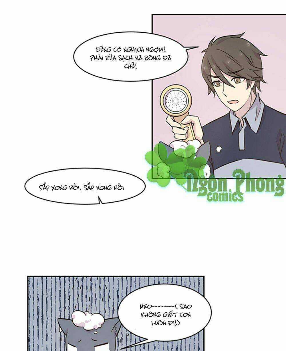 Hai Chú Mèo ToTem Chapter 17 trang 15