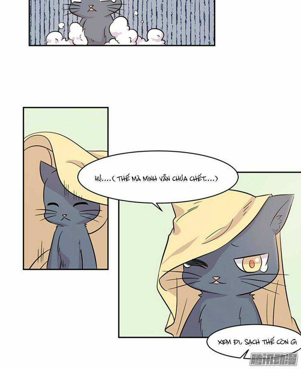 Hai Chú Mèo ToTem Chapter 17 trang 16
