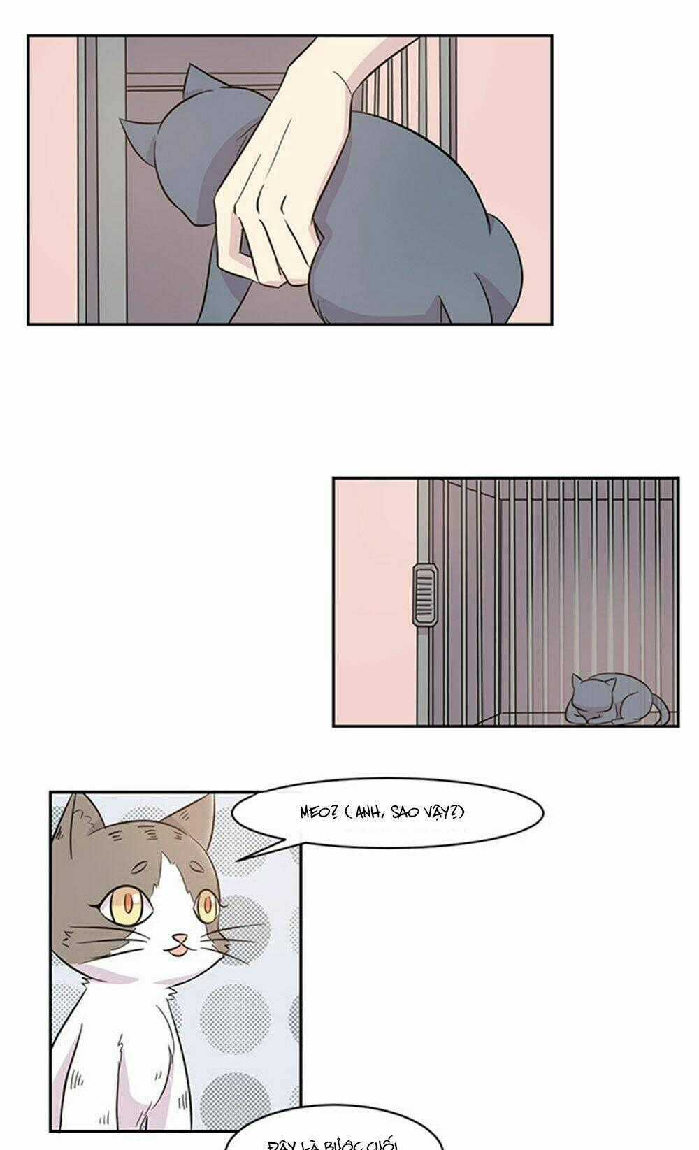 Hai Chú Mèo ToTem Chapter 17 trang 17