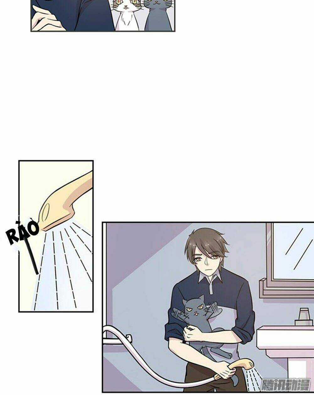 Hai Chú Mèo ToTem Chapter 17 trang 8