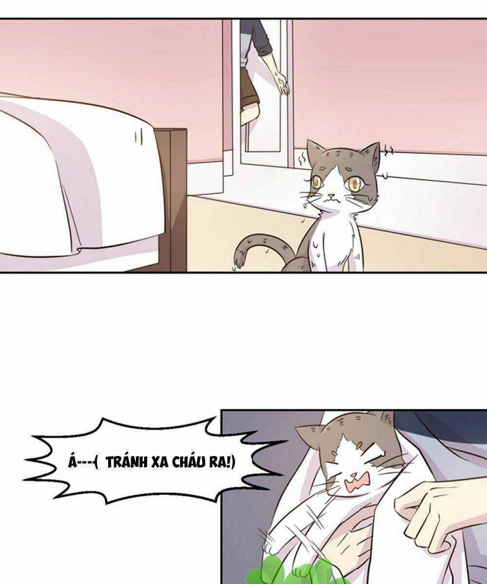 Hai Chú Mèo ToTem Chapter 18 trang 13