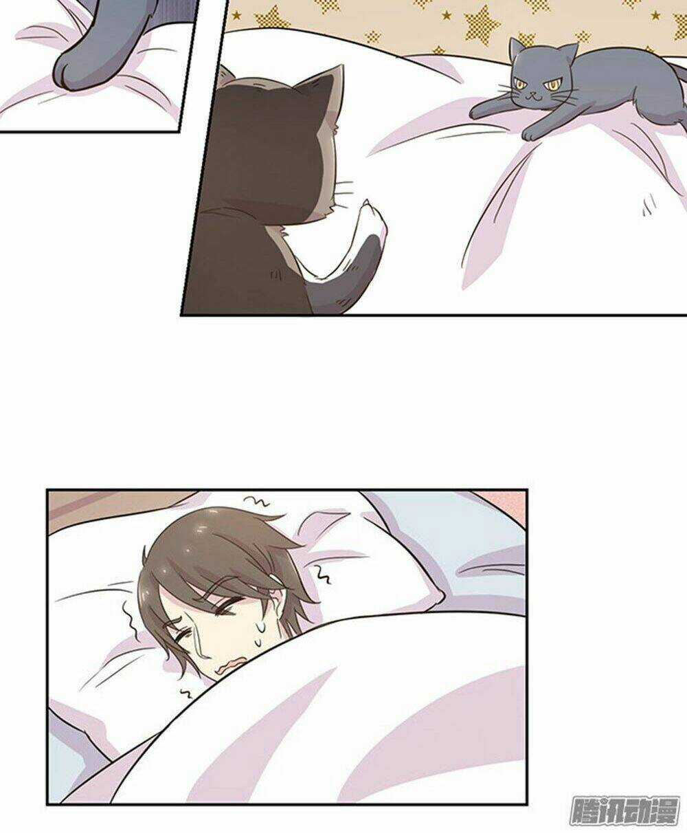 Hai Chú Mèo ToTem Chapter 19 trang 13