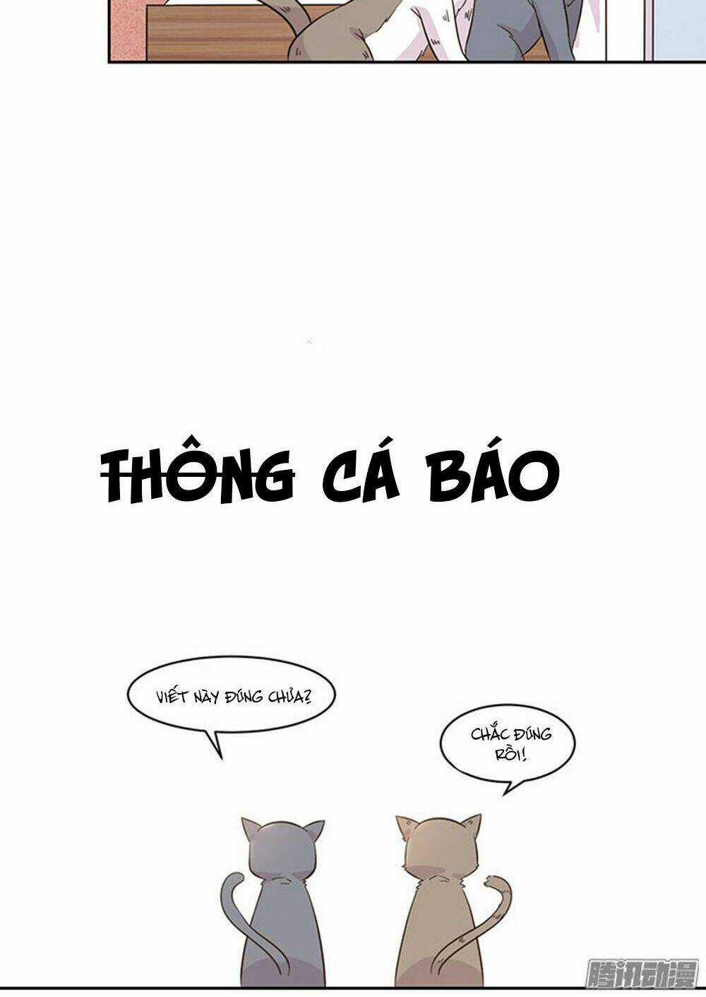 Hai Chú Mèo ToTem Chapter 19 trang 17