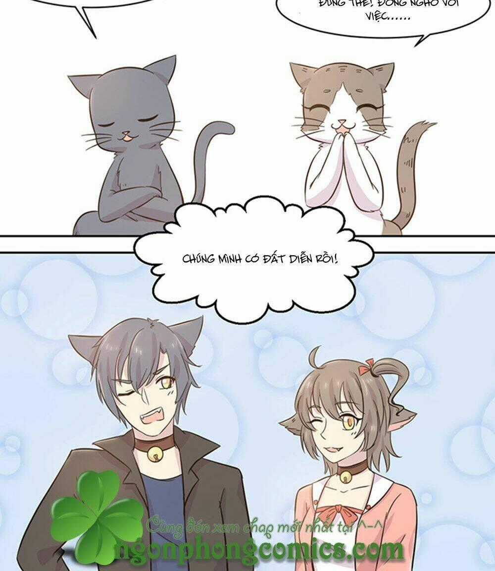 Hai Chú Mèo ToTem Chapter 19 trang 19