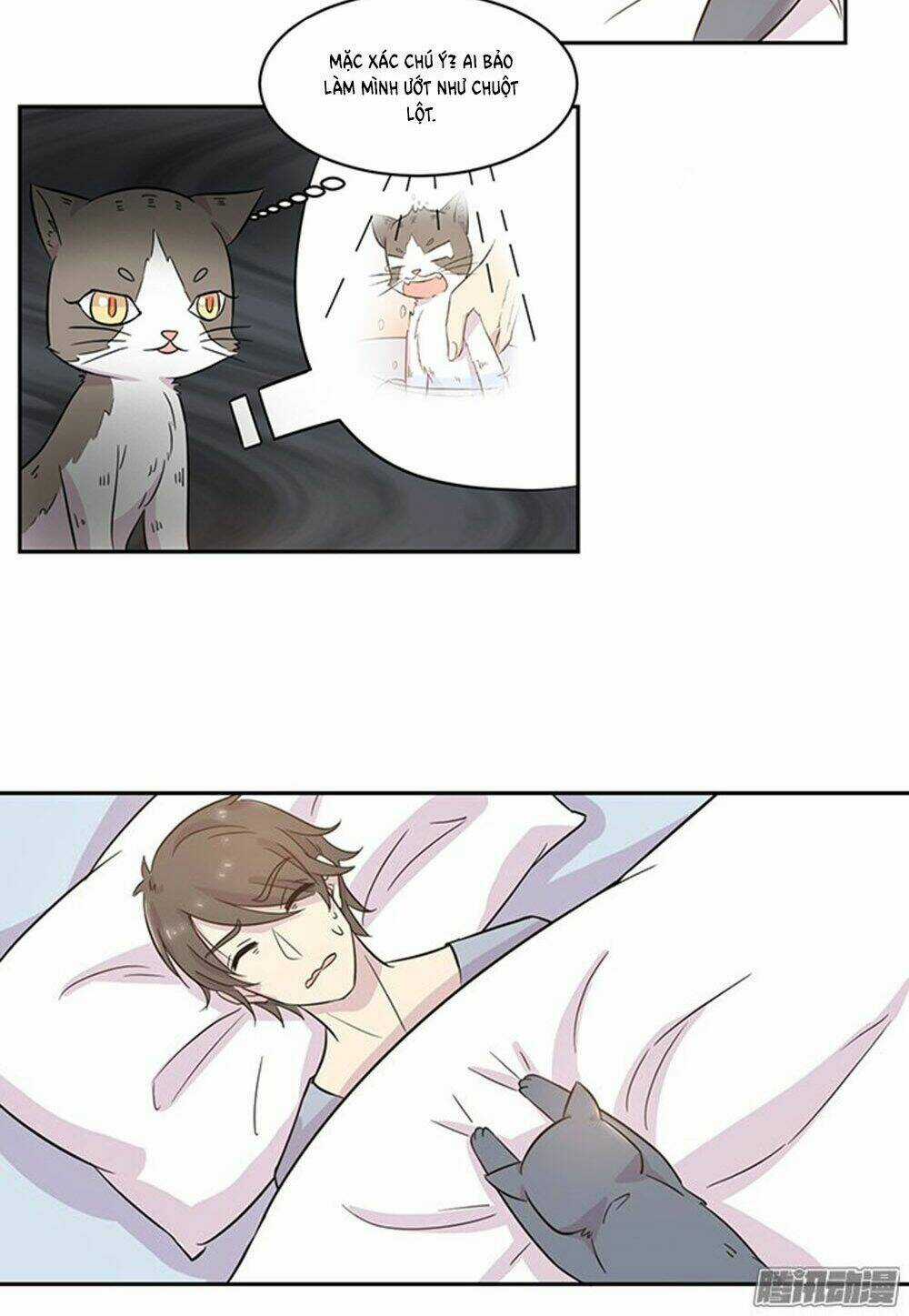 Hai Chú Mèo ToTem Chapter 19 trang 5