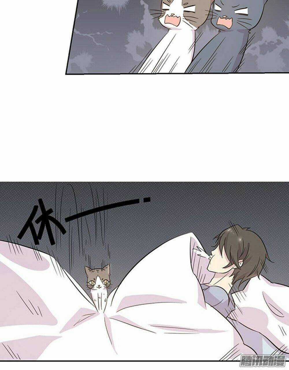 Hai Chú Mèo ToTem Chapter 19 trang 7