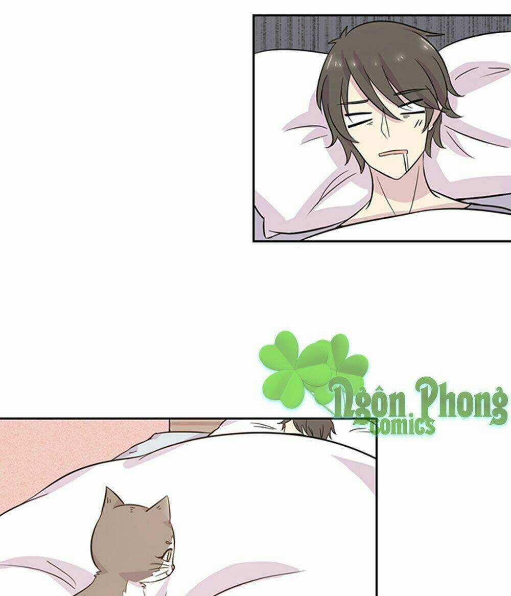 Hai Chú Mèo ToTem Chapter 19 trang 8