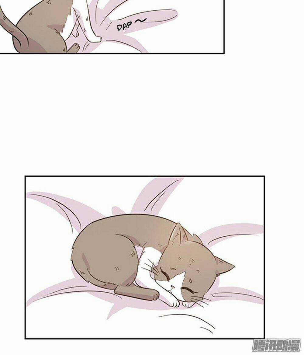 Hai Chú Mèo ToTem Chapter 19 trang 9