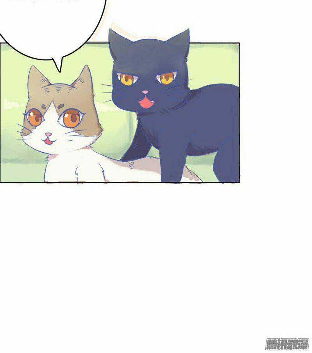 Hai Chú Mèo ToTem Chapter 2 trang 12