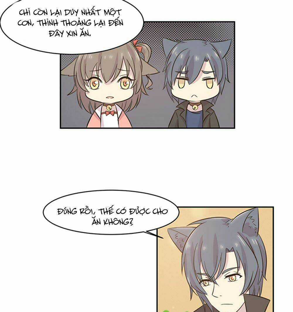 Hai Chú Mèo ToTem Chapter 20 trang 10