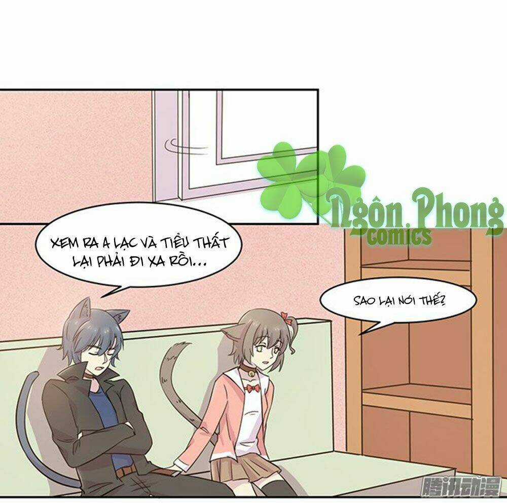 Hai Chú Mèo ToTem Chapter 20 trang 2