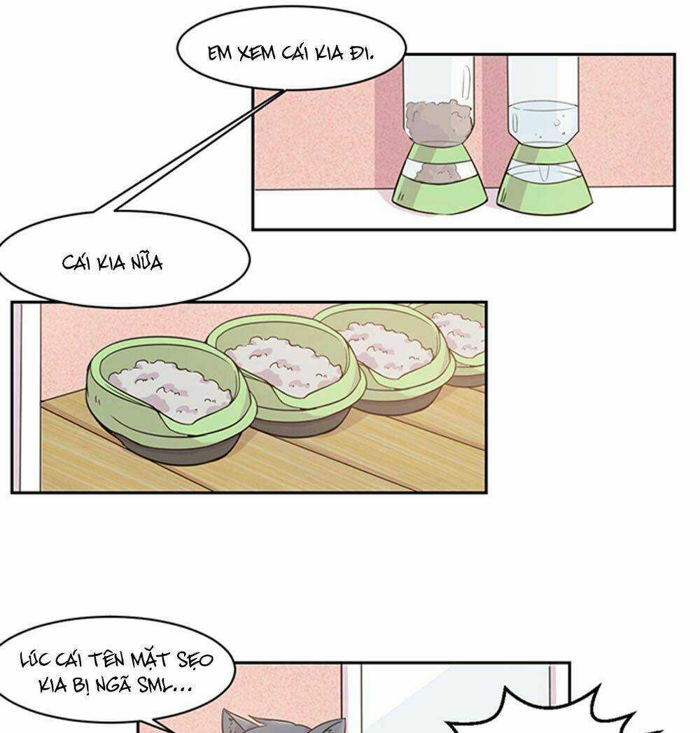 Hai Chú Mèo ToTem Chapter 20 trang 3