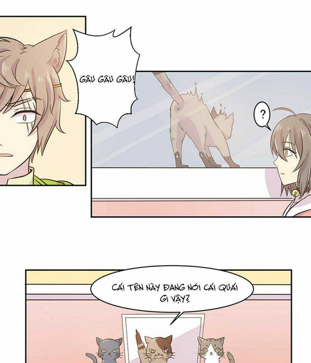 Hai Chú Mèo ToTem Chapter 21 trang 13