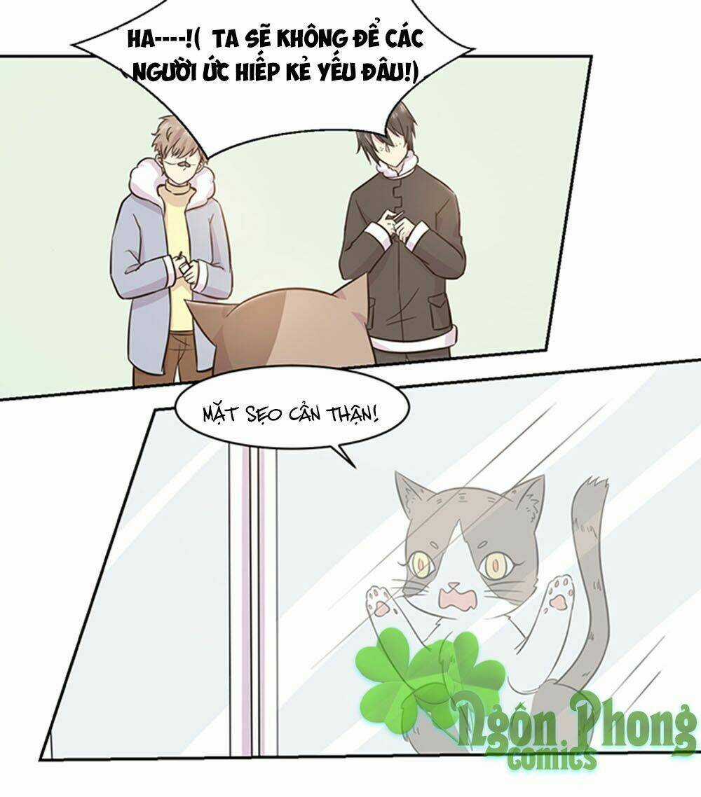Hai Chú Mèo ToTem Chapter 22 trang 13