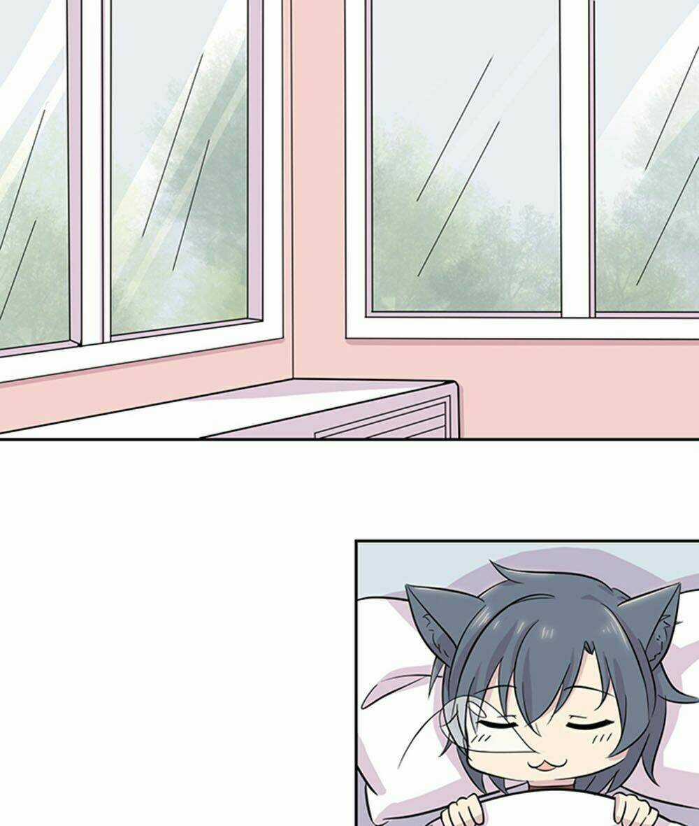 Hai Chú Mèo ToTem Chapter 22 trang 2