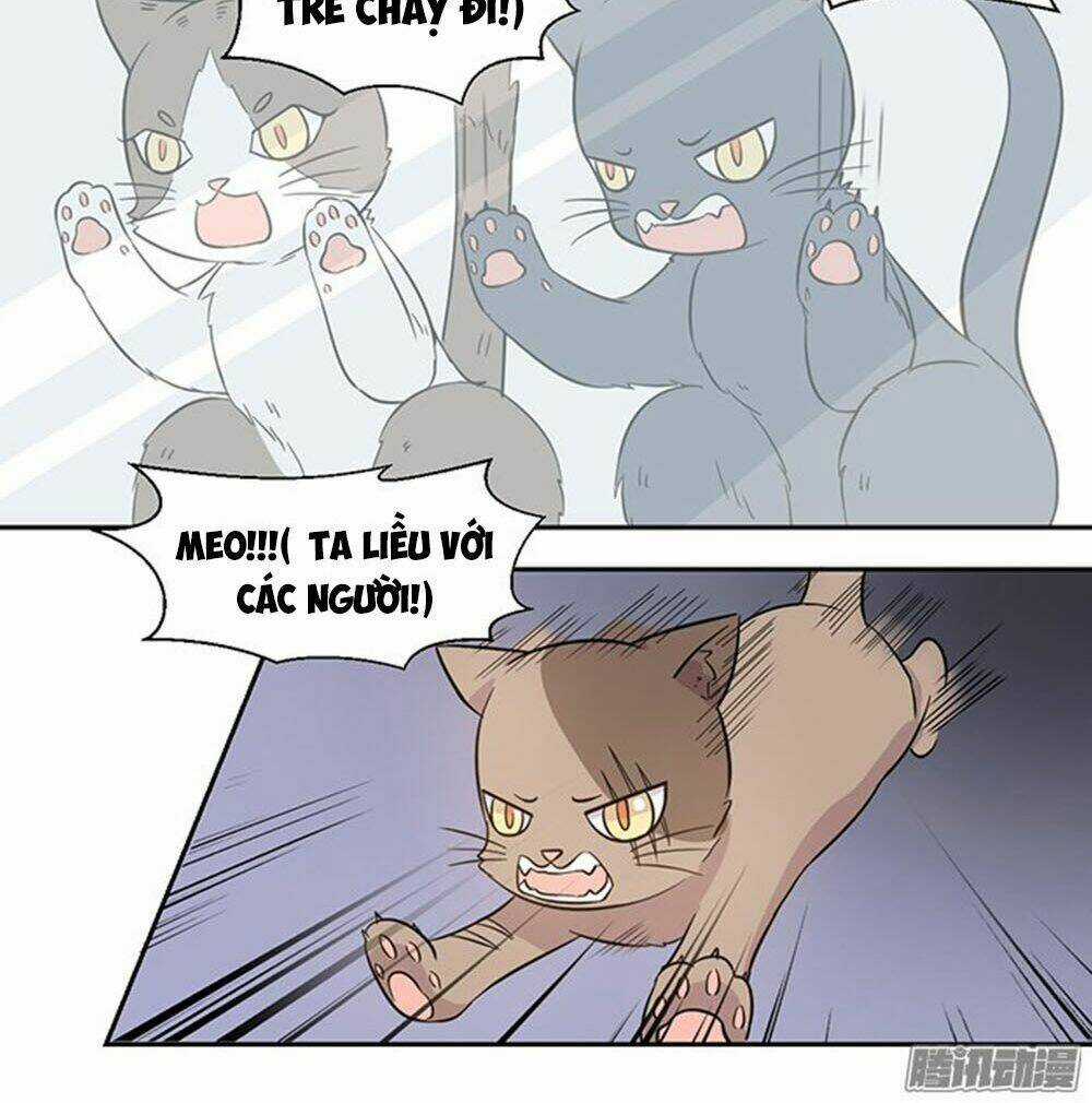 Hai Chú Mèo ToTem Chapter 22 trang 20