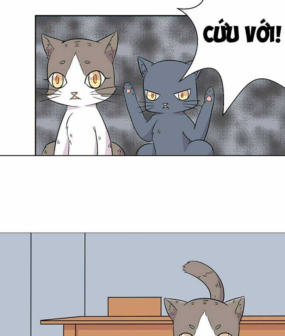 Hai Chú Mèo ToTem Chapter 22 trang 5