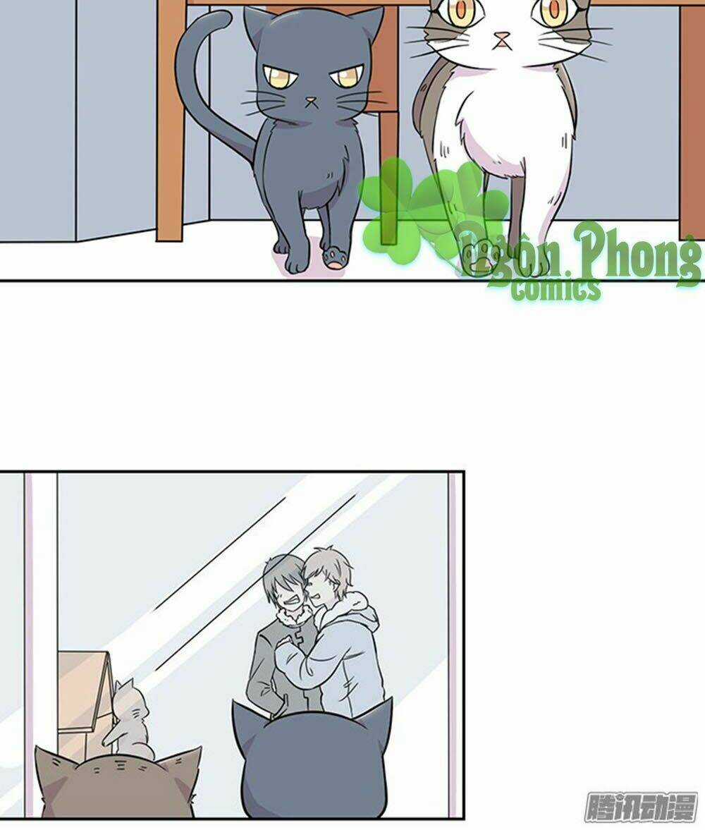 Hai Chú Mèo ToTem Chapter 22 trang 6