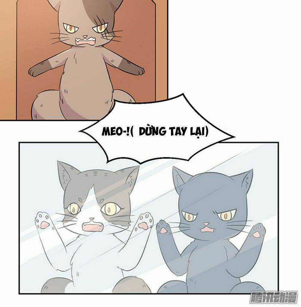 Hai Chú Mèo ToTem Chapter 22 trang 8