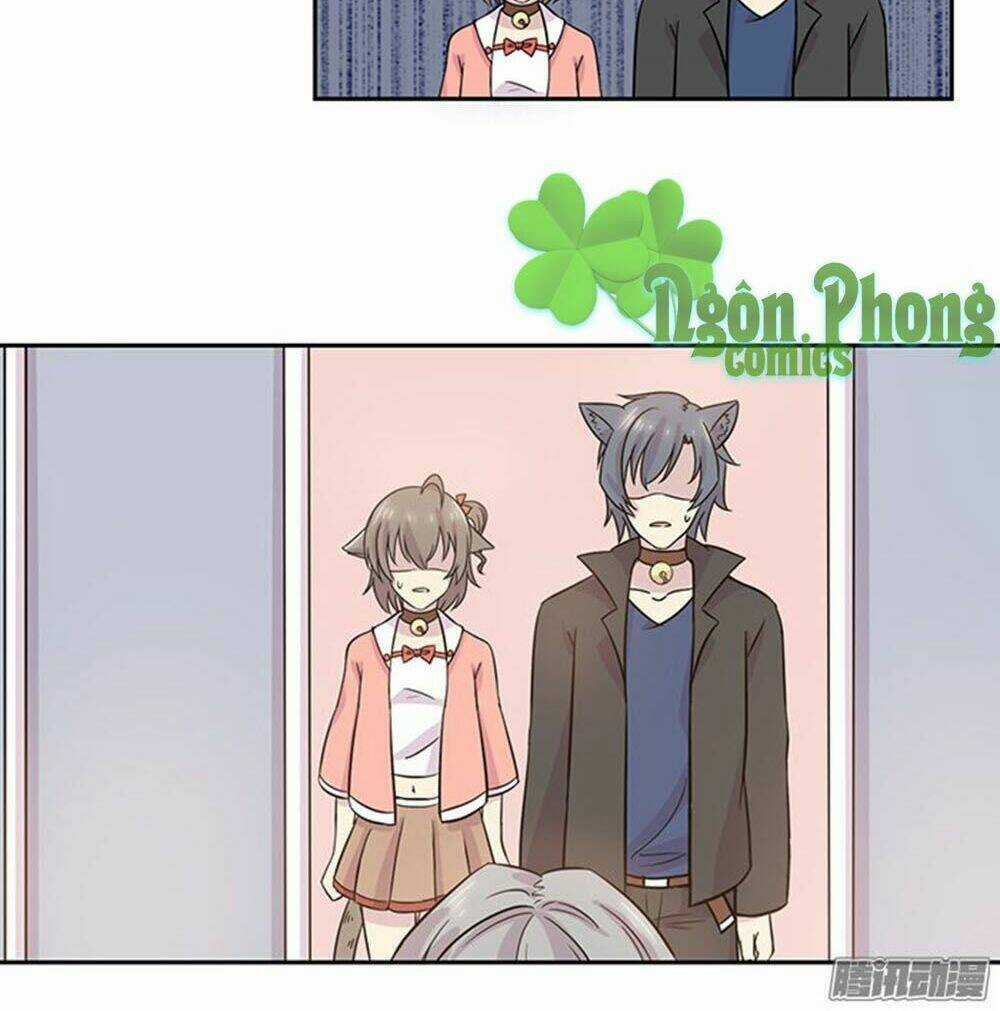 Hai Chú Mèo ToTem Chapter 23 trang 6