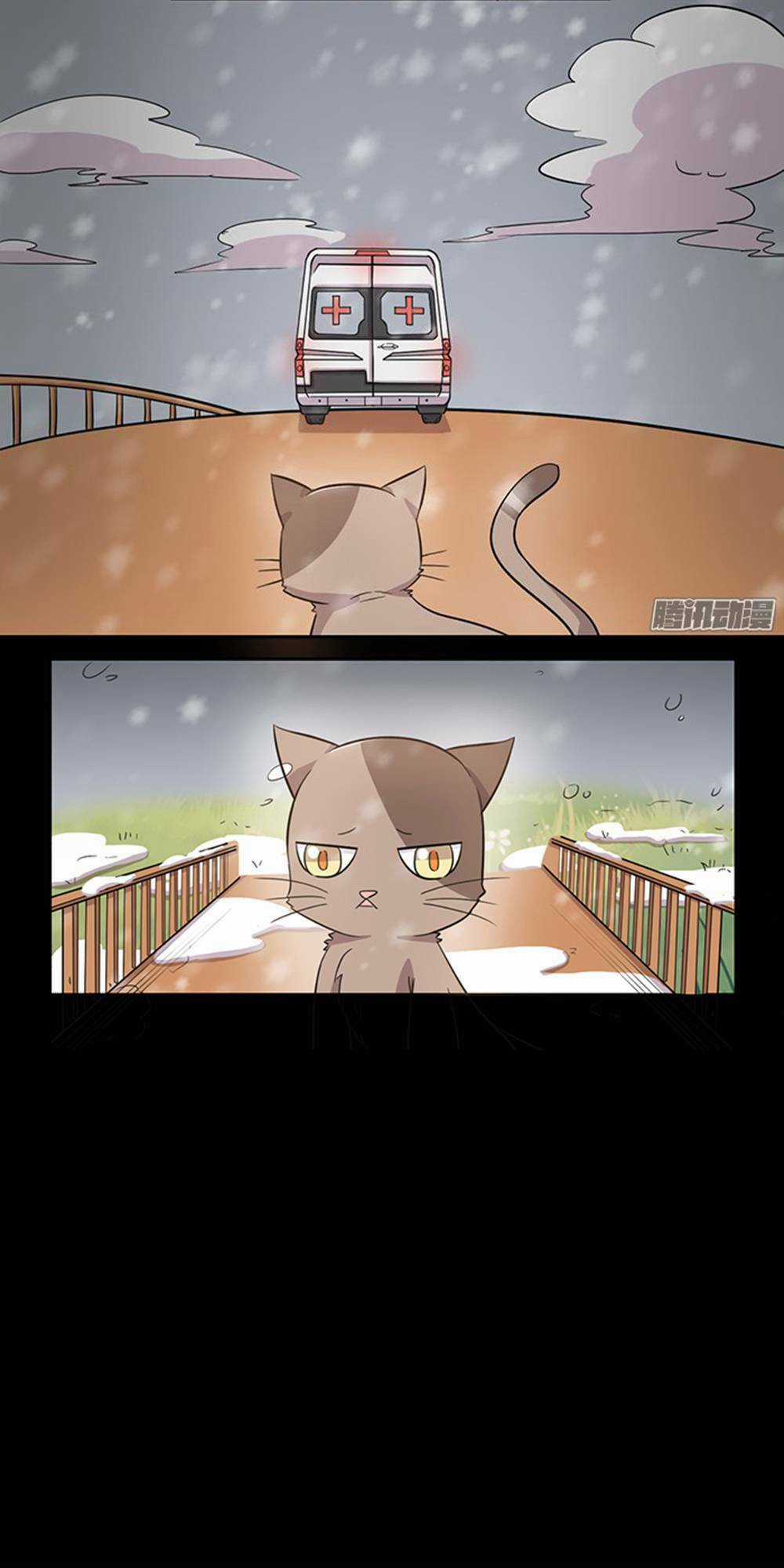 Hai Chú Mèo ToTem Chapter 24 trang 11