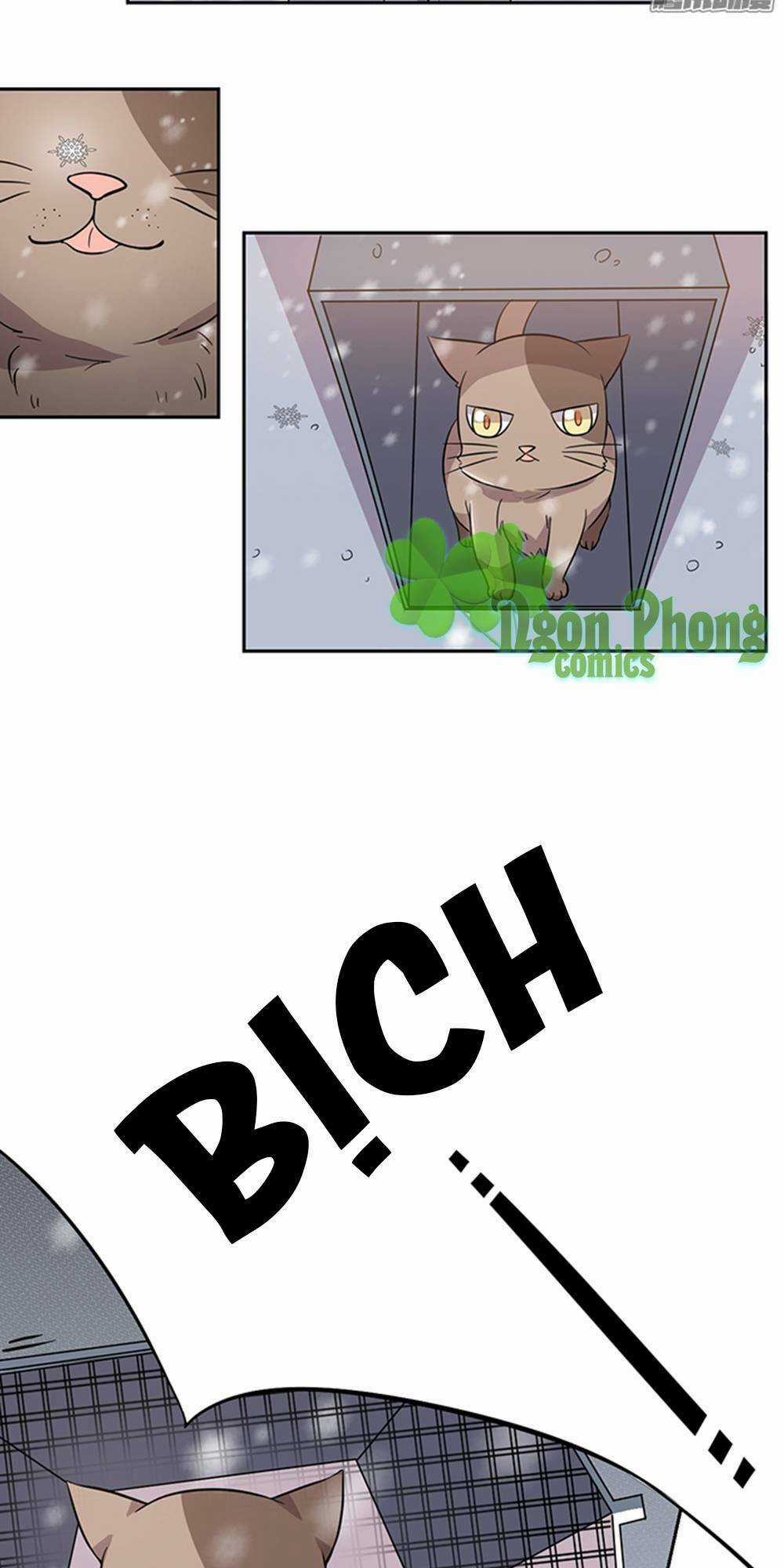 Hai Chú Mèo ToTem Chapter 24 trang 7