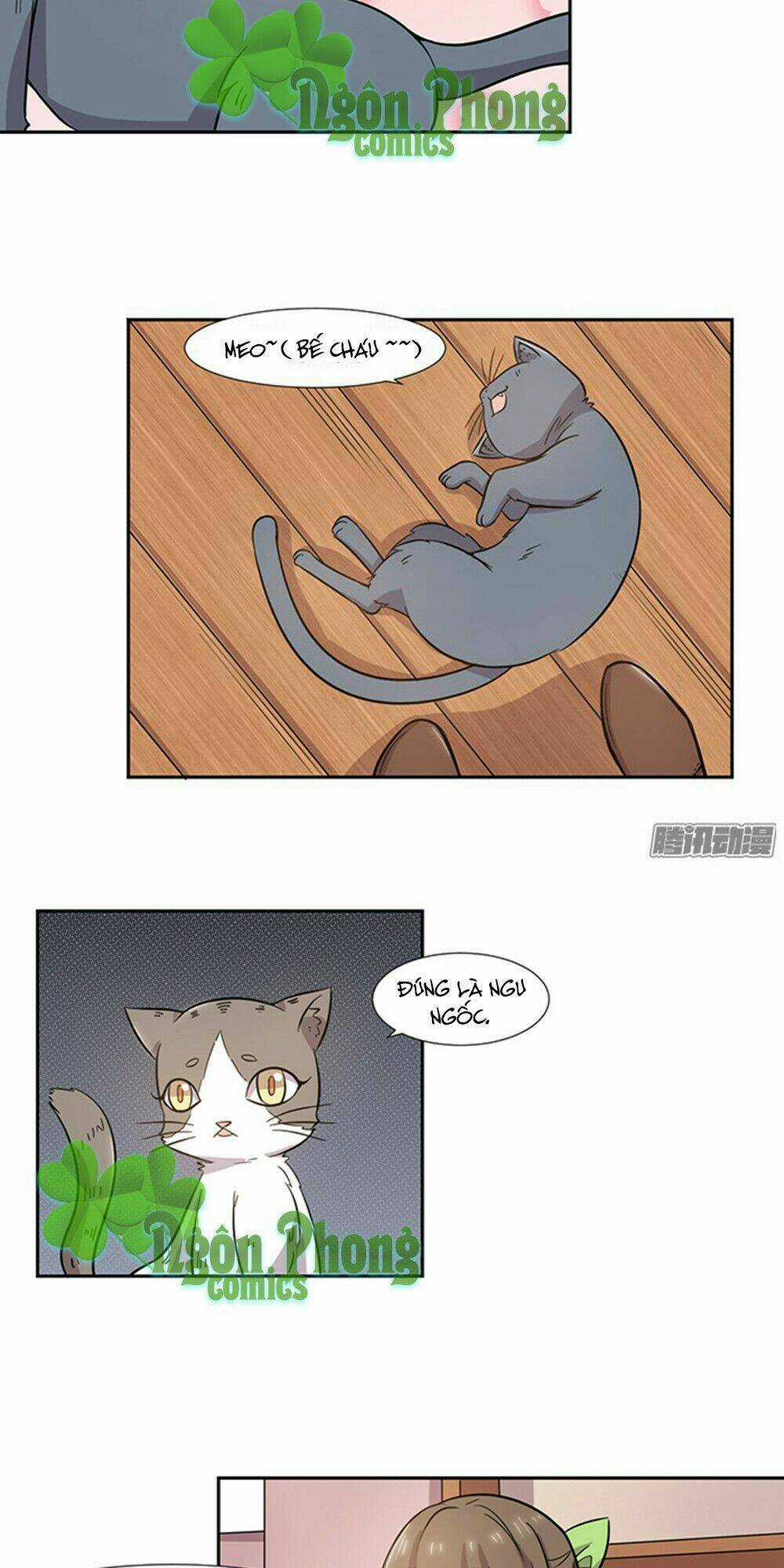 Hai Chú Mèo ToTem Chapter 25 trang 6