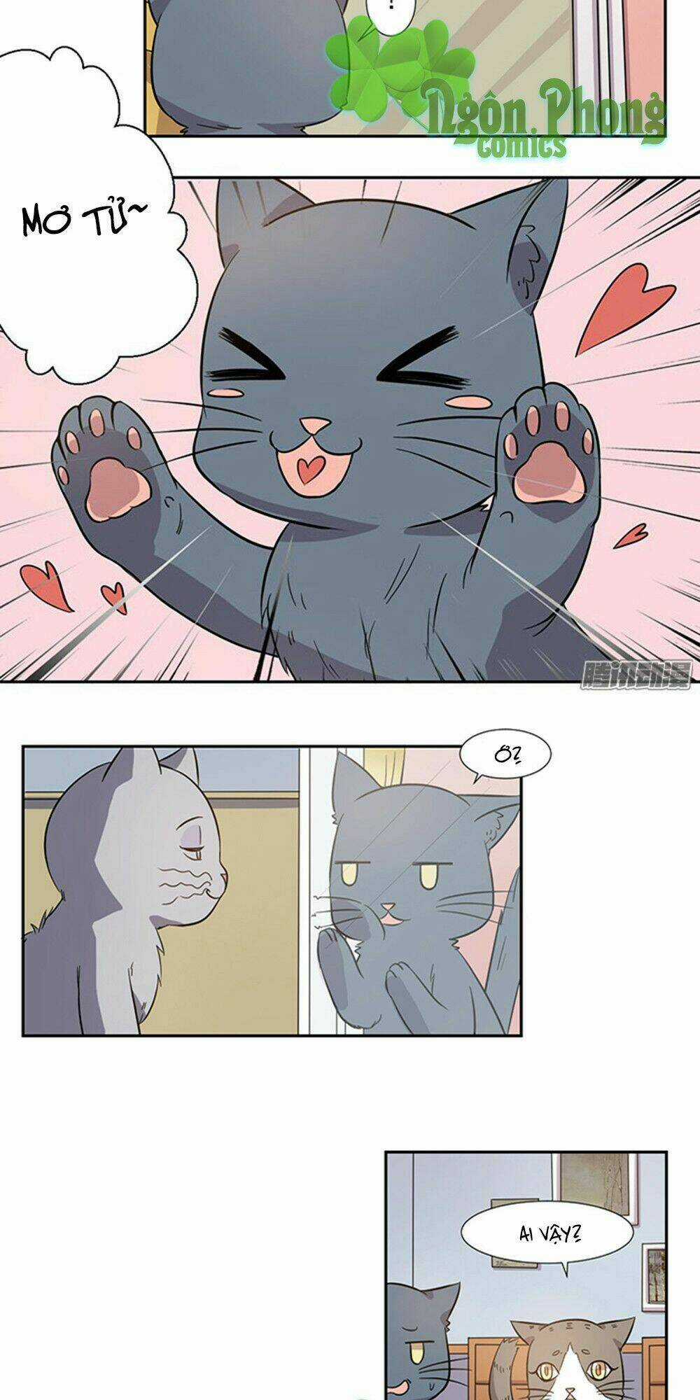 Hai Chú Mèo ToTem Chapter 26 trang 5