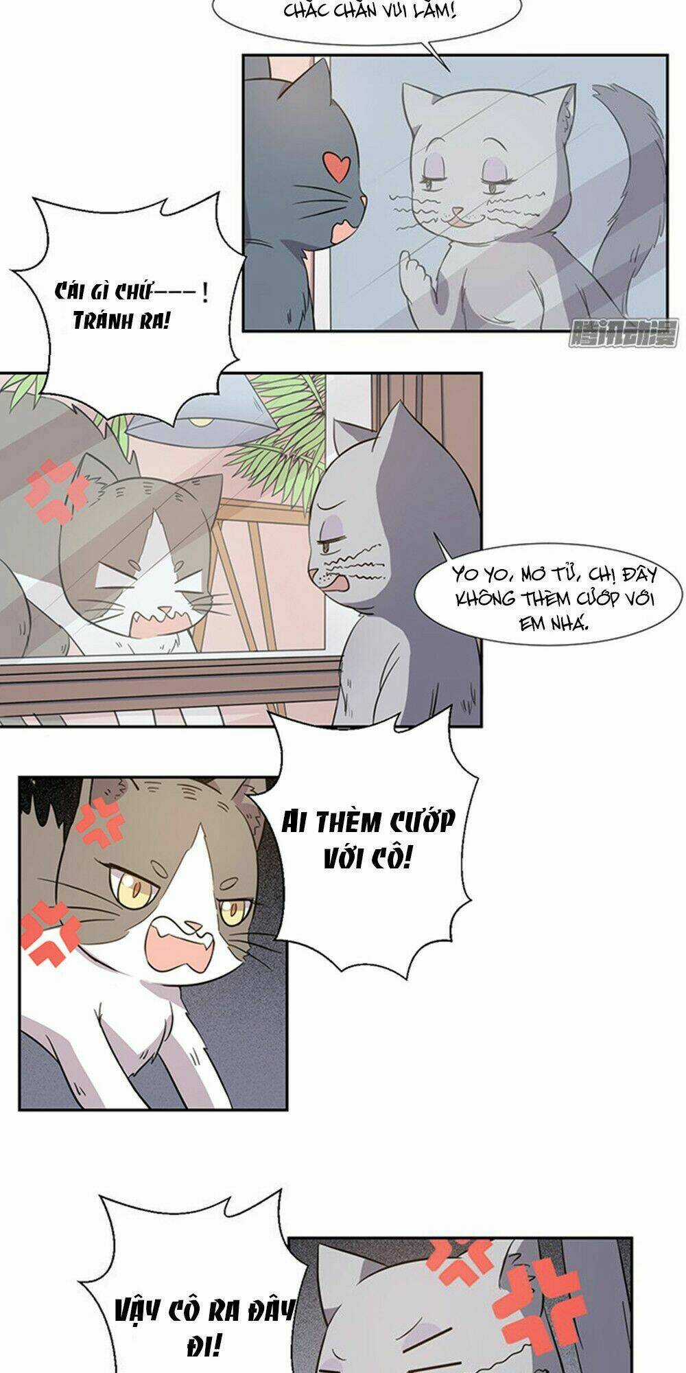 Hai Chú Mèo ToTem Chapter 26 trang 7