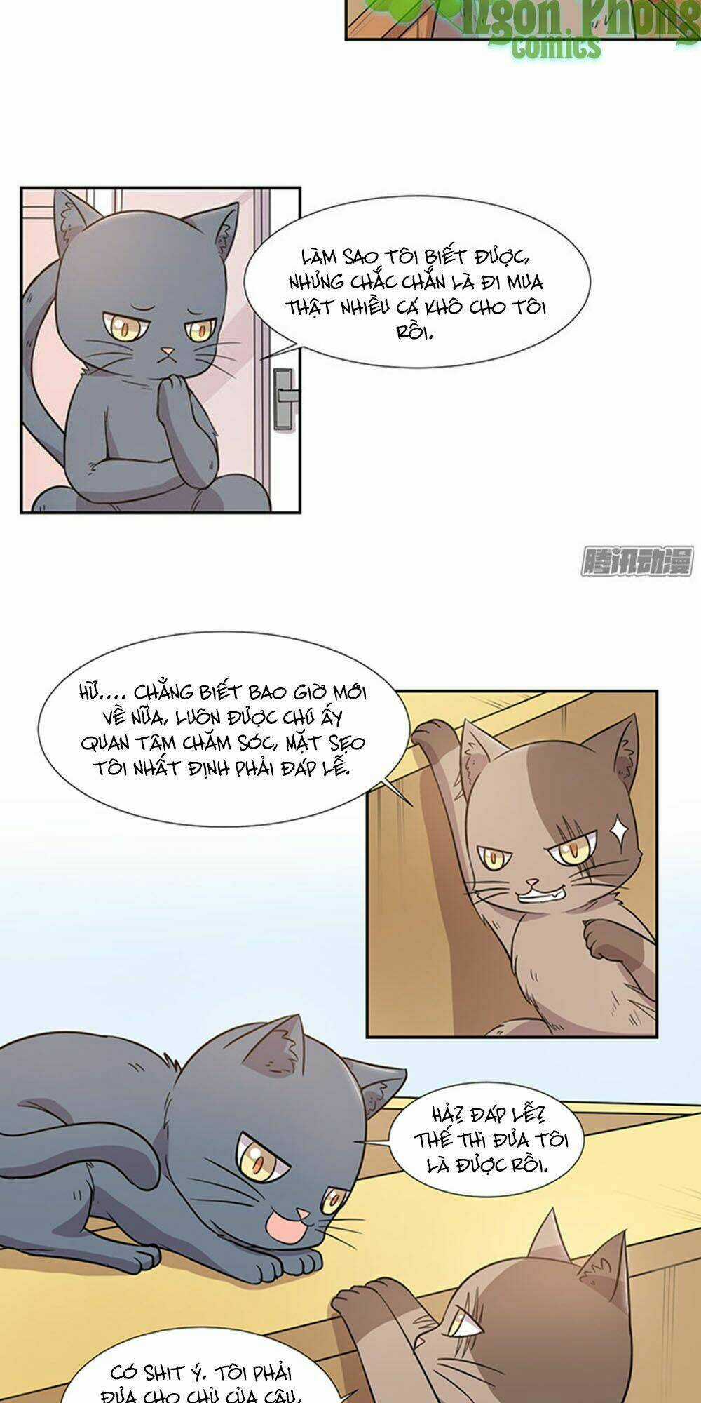Hai Chú Mèo ToTem Chapter 27 trang 4
