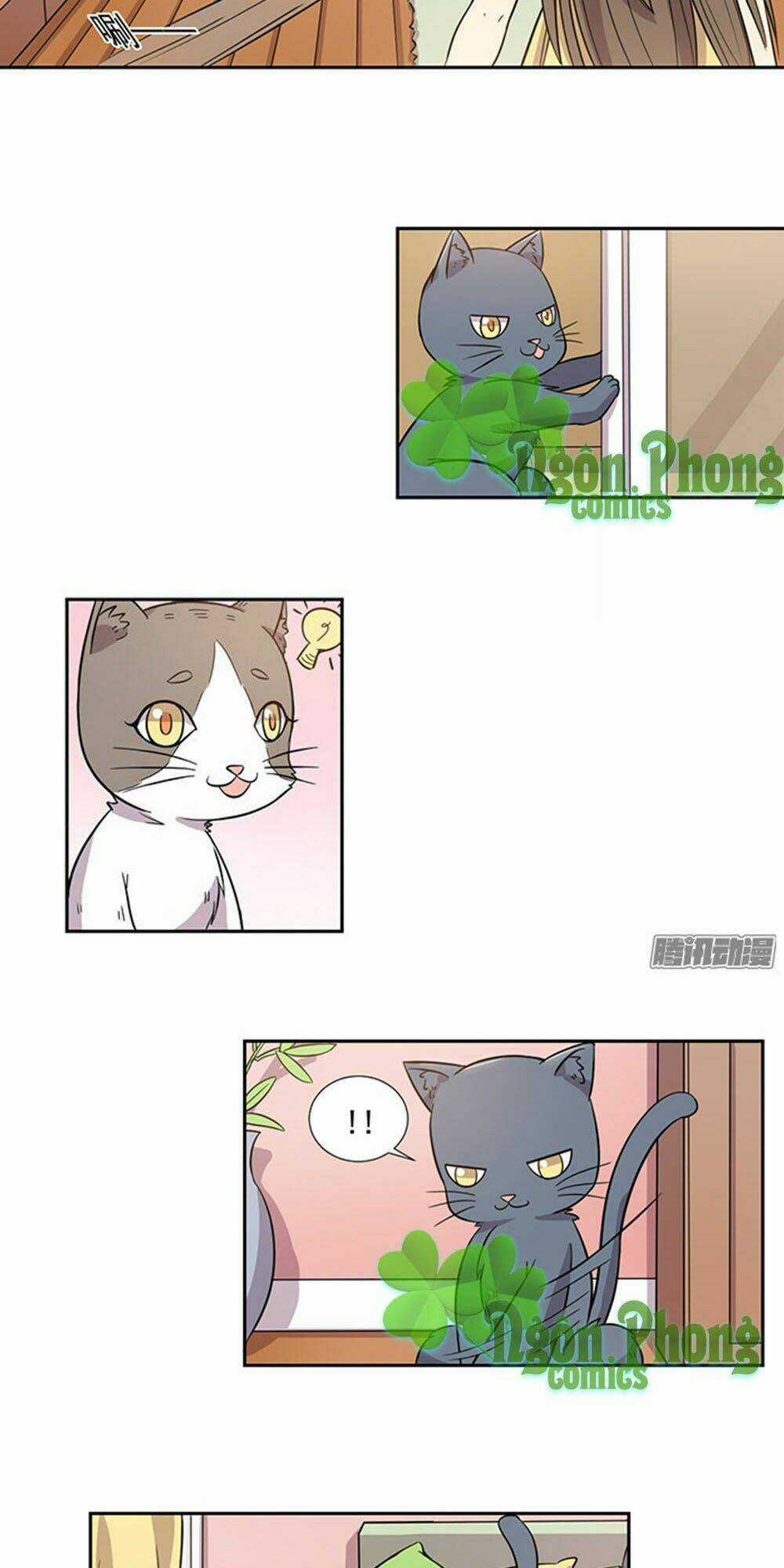 Hai Chú Mèo ToTem Chapter 27 trang 9