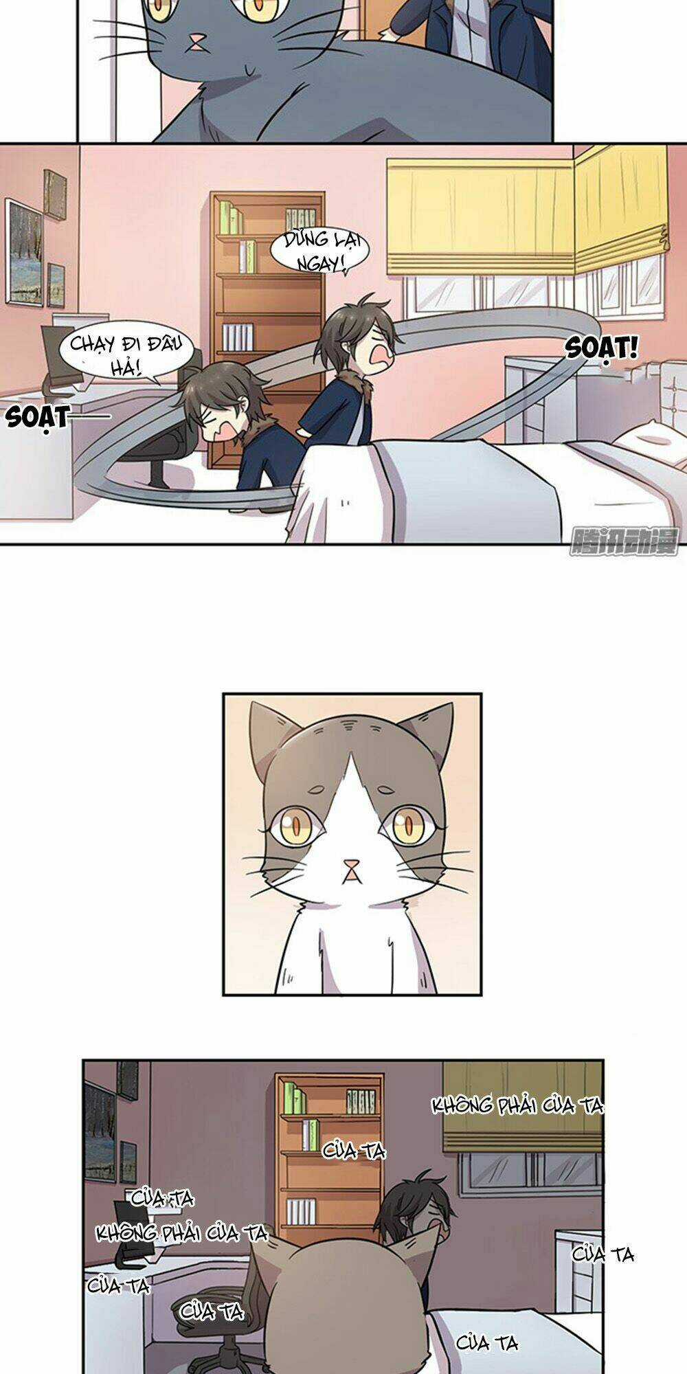 Hai Chú Mèo ToTem Chapter 28 trang 10