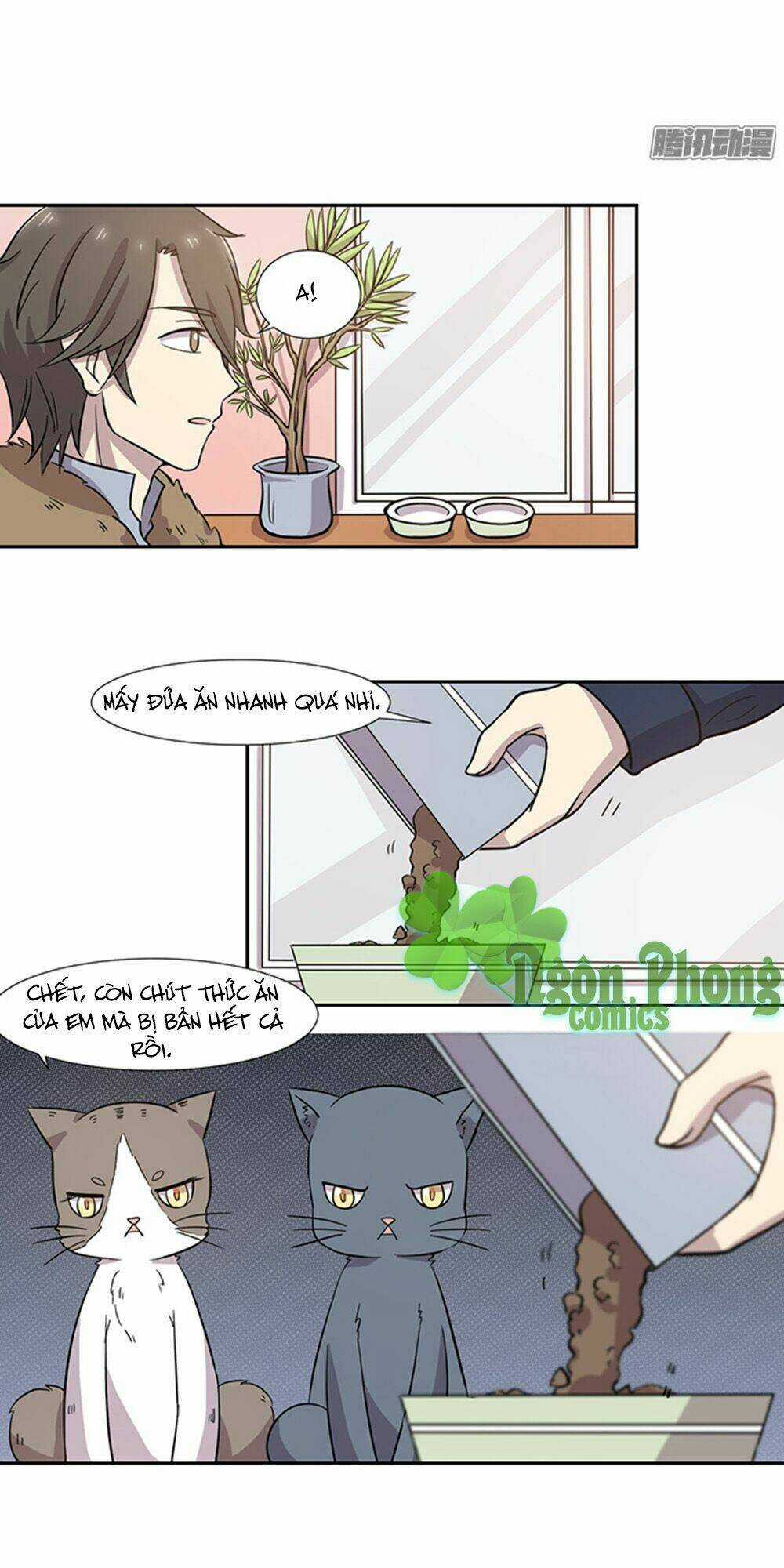 Hai Chú Mèo ToTem Chapter 28 trang 5