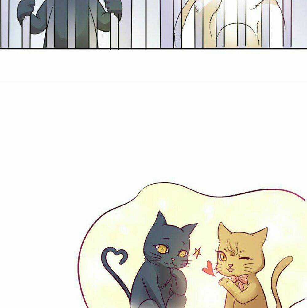 Hai Chú Mèo ToTem Chapter 3 trang 13