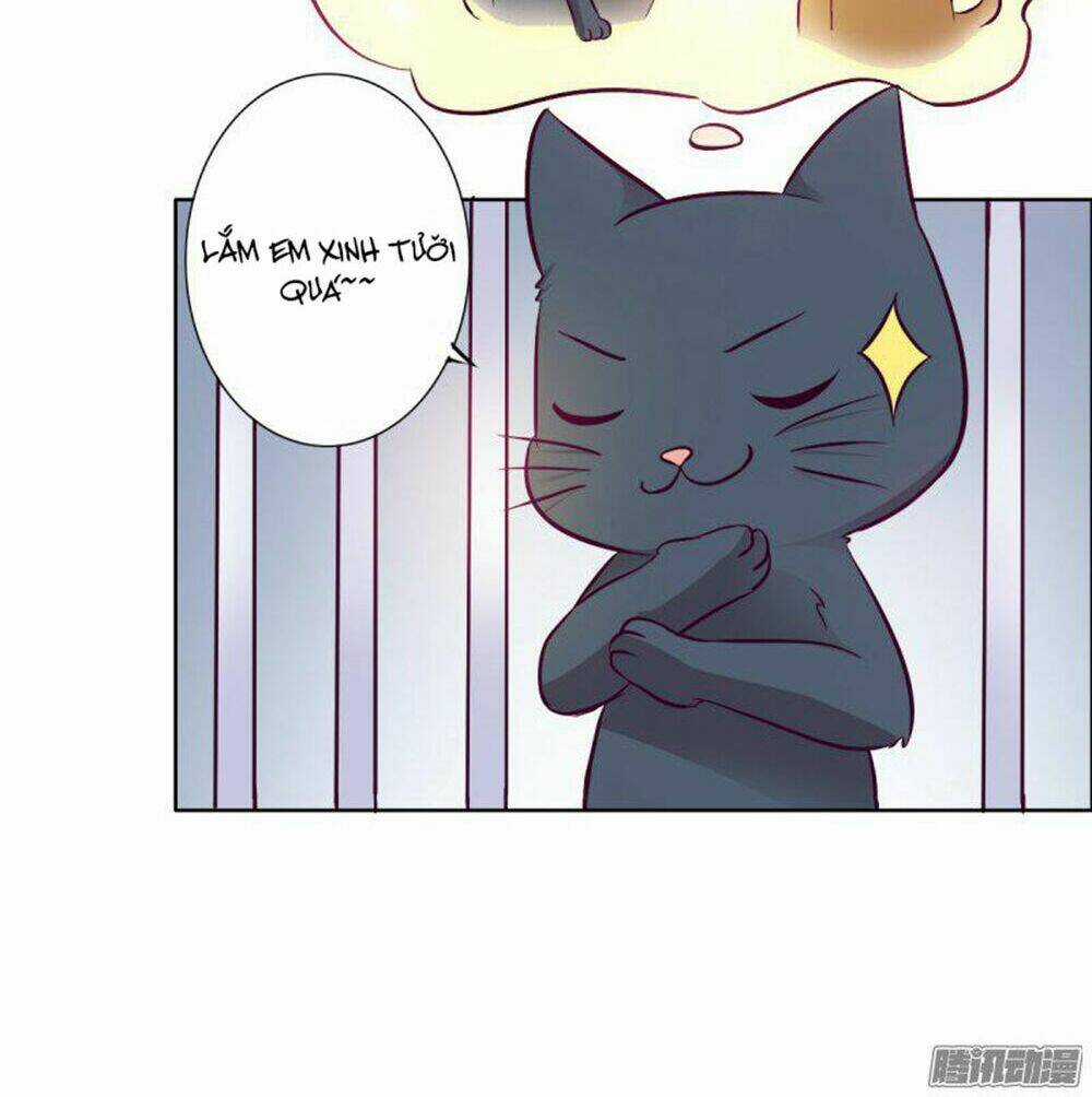 Hai Chú Mèo ToTem Chapter 3 trang 14