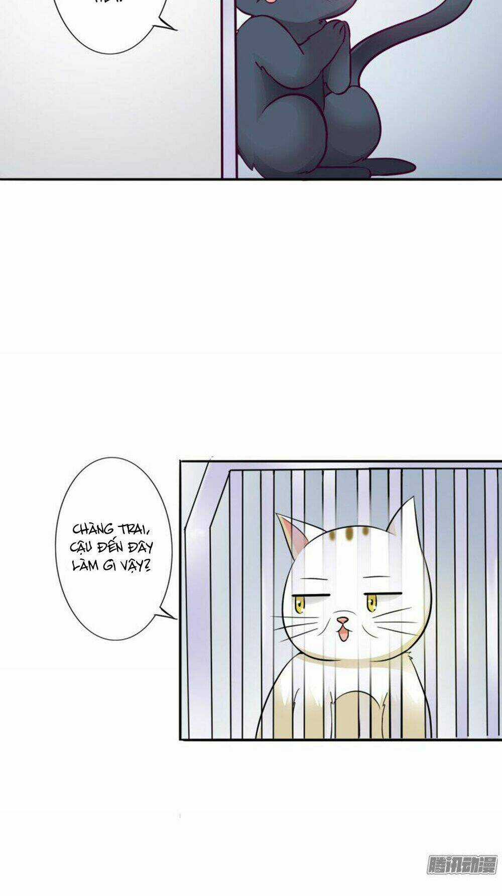 Hai Chú Mèo ToTem Chapter 3 trang 16