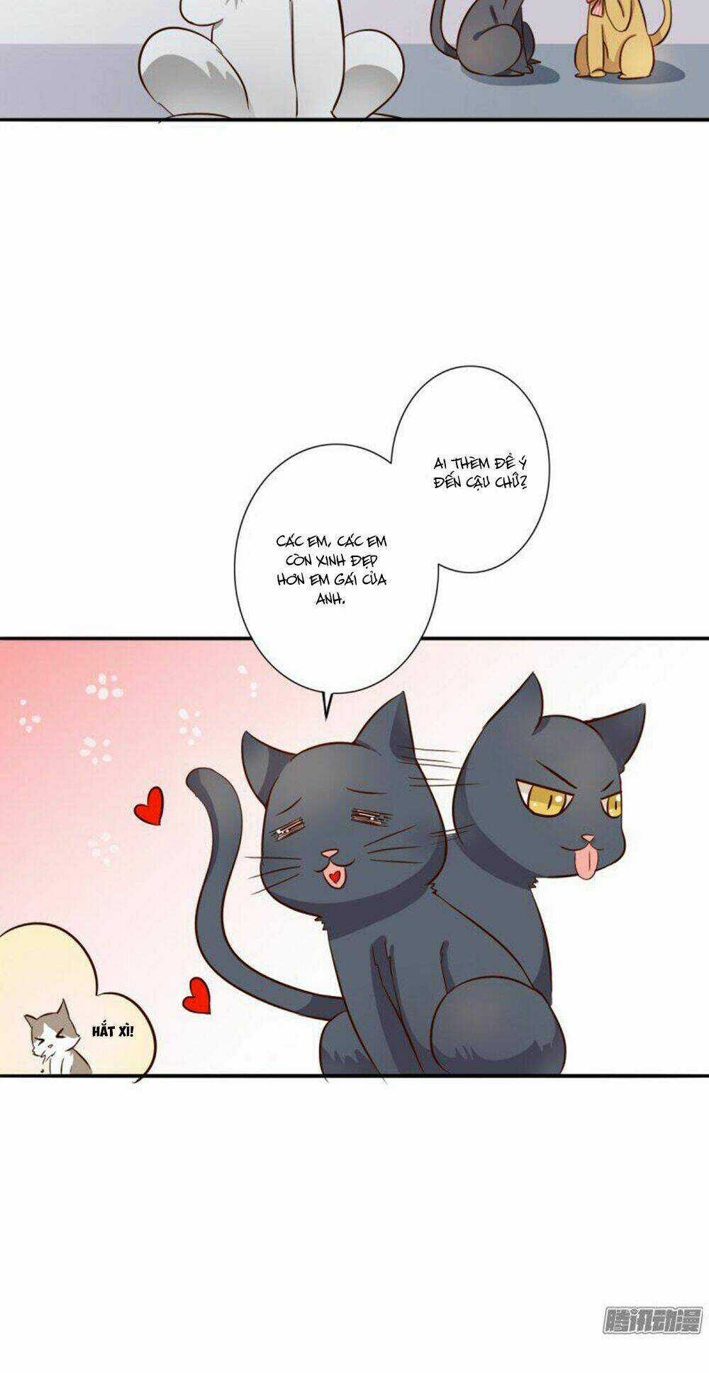 Hai Chú Mèo ToTem Chapter 3 trang 18