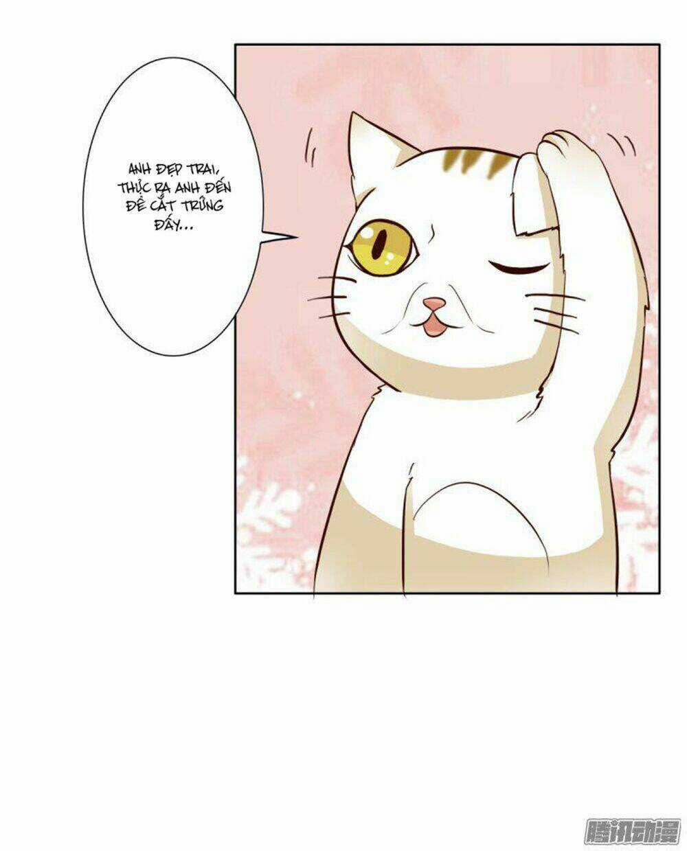 Hai Chú Mèo ToTem Chapter 3 trang 24