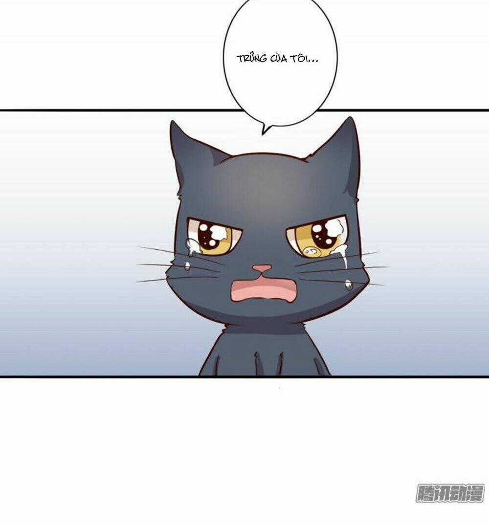 Hai Chú Mèo ToTem Chapter 3 trang 27