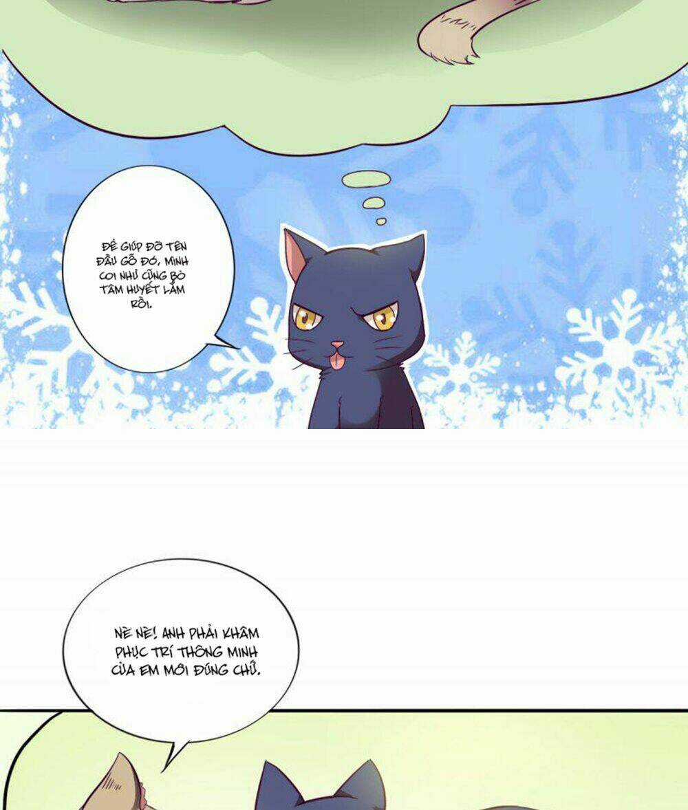 Hai Chú Mèo ToTem Chapter 3 trang 3