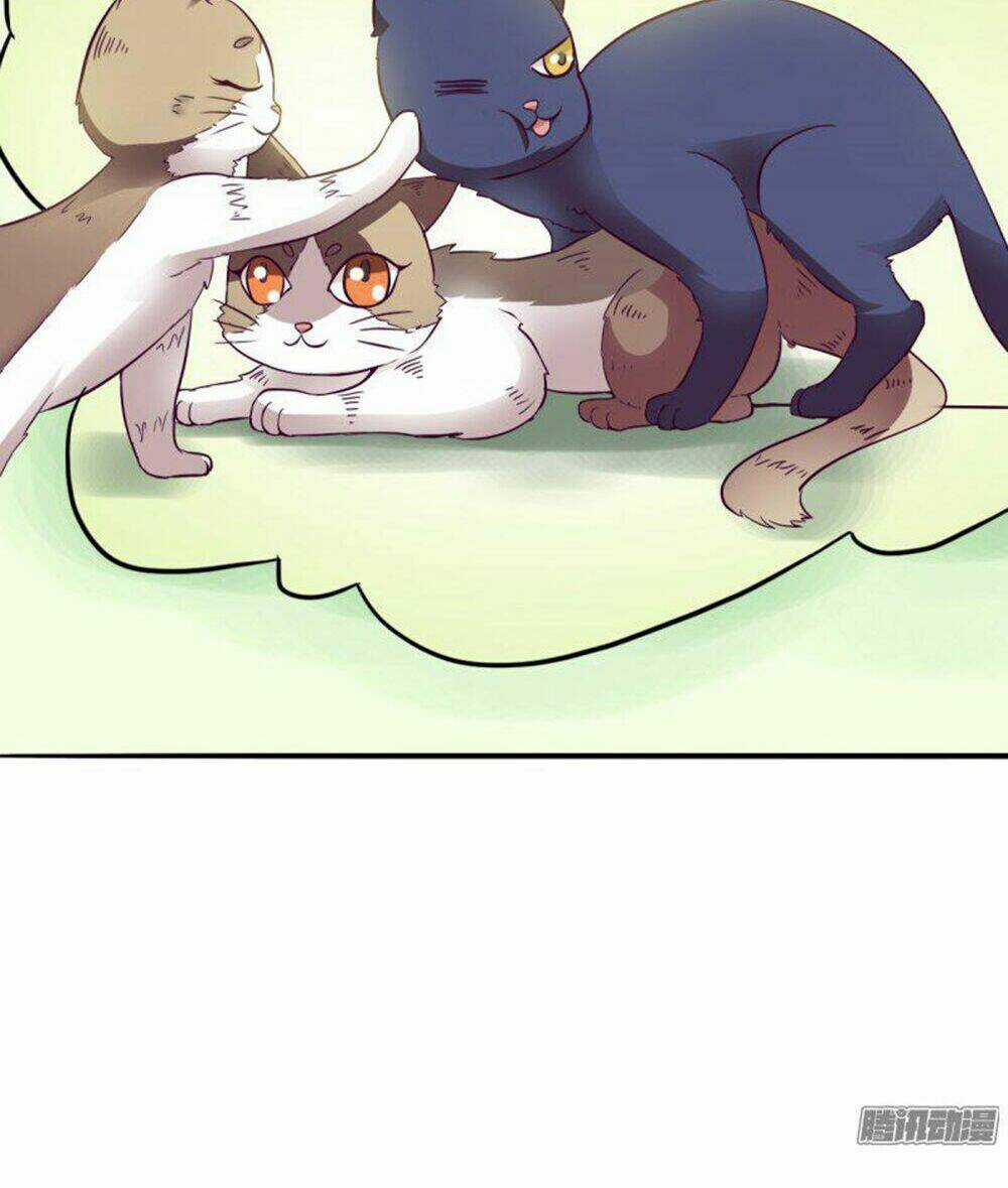 Hai Chú Mèo ToTem Chapter 3 trang 4