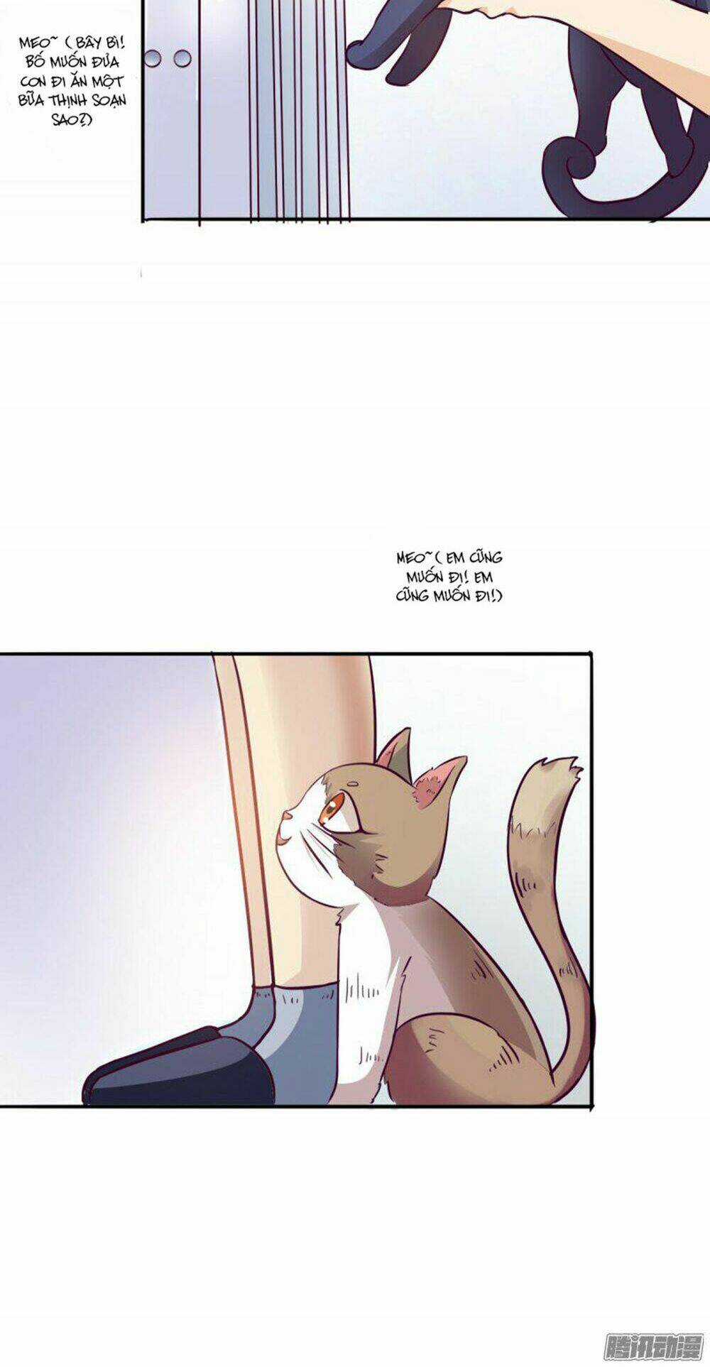 Hai Chú Mèo ToTem Chapter 3 trang 8