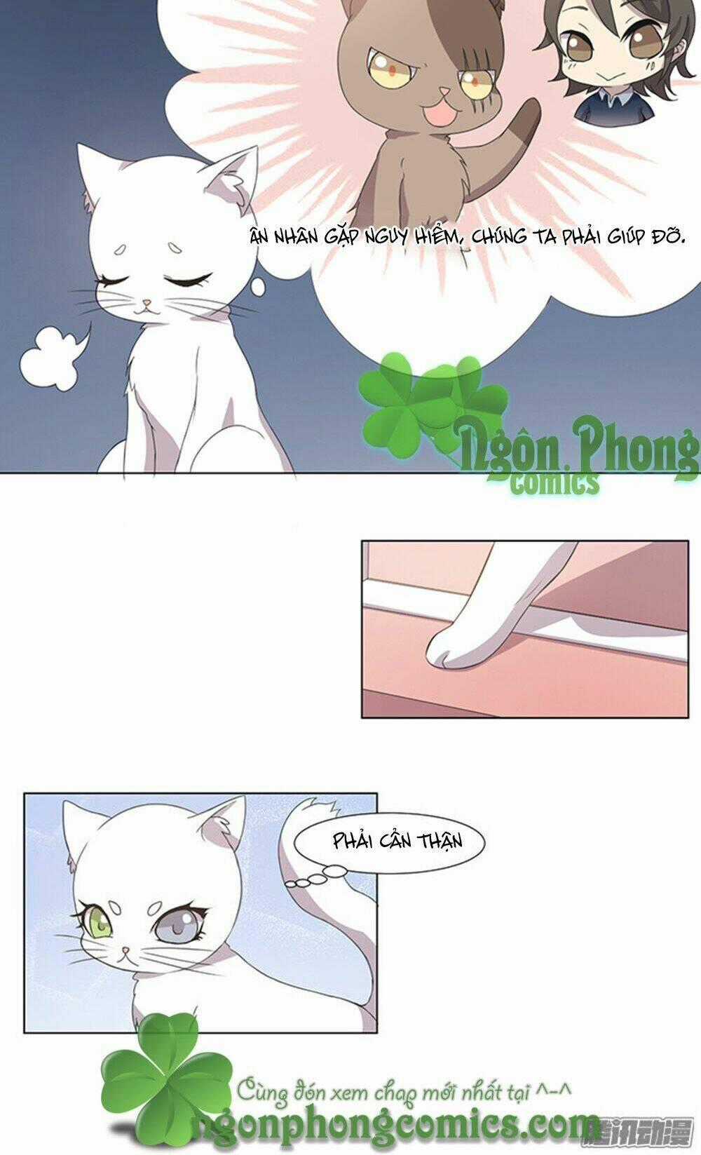 Hai Chú Mèo ToTem Chapter 32 trang 19