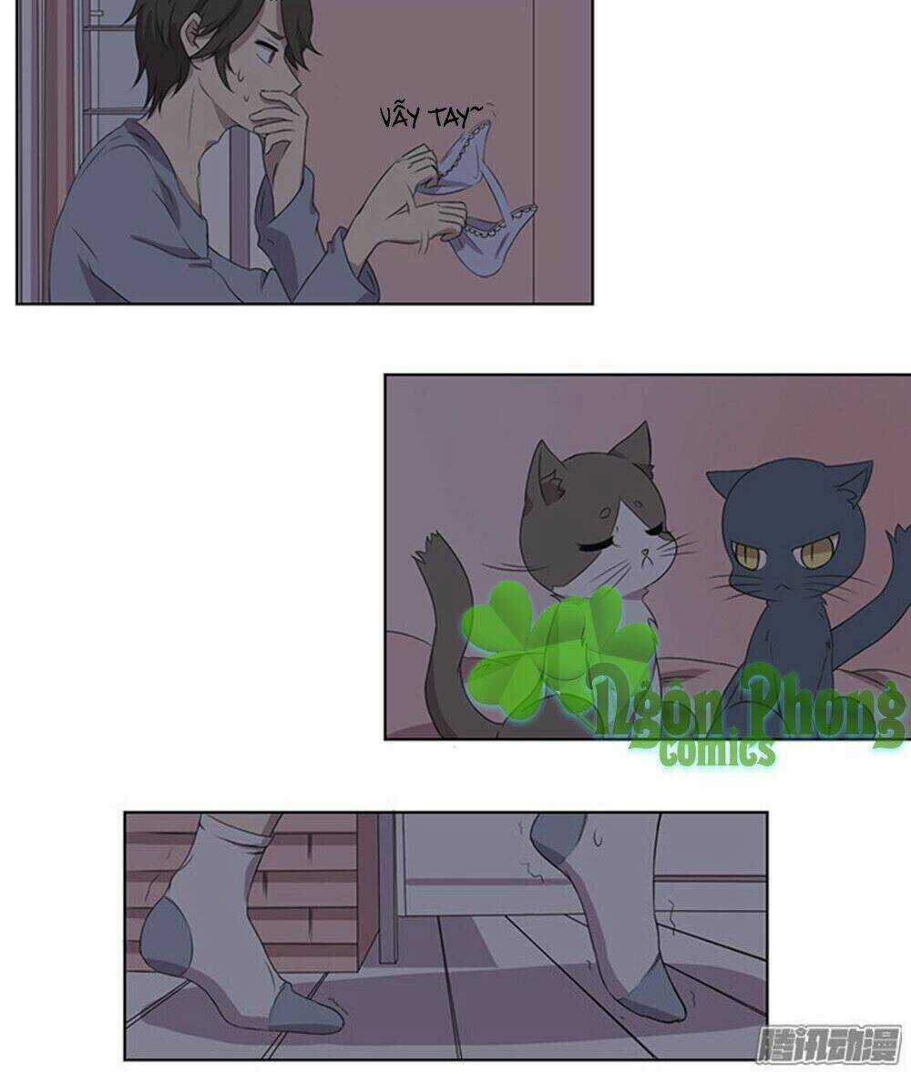 Hai Chú Mèo ToTem Chapter 33 trang 16